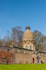 Another look at the Pineapple