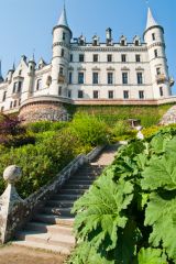 Garden steps to the castle terrace