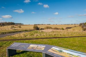 Stonehenge Landscape