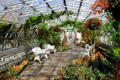 Duthie Park and Winter Gardens, The Winter Gardens (c) Bill Harrison