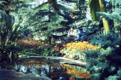 Duthie Park and Winter Gardens, Inside thw Winter Gardens (c) Colin Smith