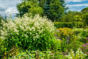 East Lambrook Manor Garden