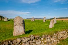 The dry stone wall and raised bank