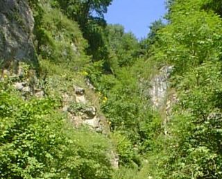 Ebbor Gorge