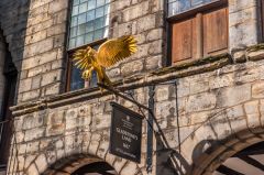 The entrance and hawk sign