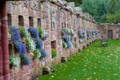 The garden wall