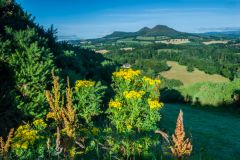 Eildon from Scott's View