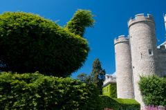 A topiary bird in the garden