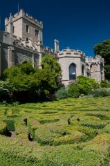 Ornamental clipped hedges by the tower