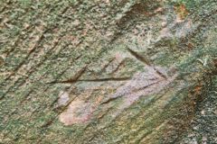Medieval mason's mark