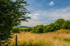 The Battle Well site