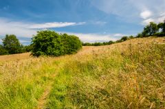 In these peaceful fields men fought and died