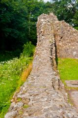 Atop the ruined wall
