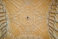 Vaulting in the porch