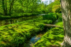 Dappled sunlight over a canal