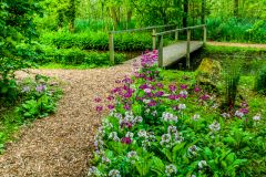 A flower-lined path and bridge