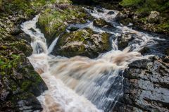 Part of the salmon leap area