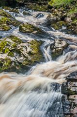 How on earth do the salmon do it?