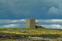 Farne Islands, Brownsman Island