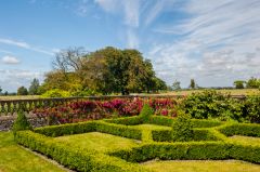 Clipped hedges in the formal gardens