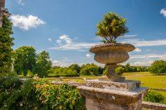 A neo-classical garden urn