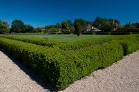 Roman garden, hedges