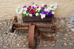 In the museum courtyard