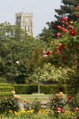 Kingsnorth Garden and United Reformed Church (c) Alan Duncan