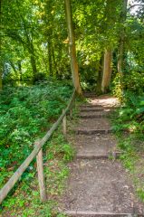 A shaded woodland path