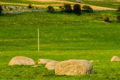 Looking north down the hill