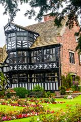 Tudor timber-framed windows