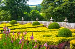 The formal parterre below the house