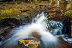 West Beck at Goathland