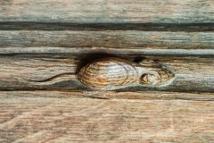Robert Thompson mouse carving inside St Mary's church