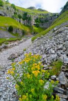 The approach to the Scar