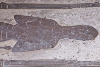 Goudhurst, St Mary, John Bedgebury brass