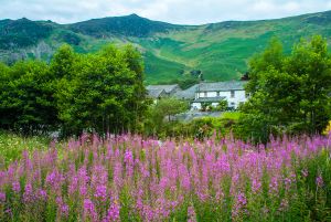 Grange in Borrowdale