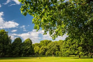 Green Park London