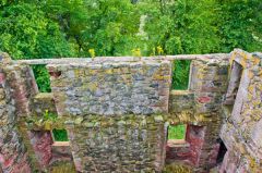 View from the tower top