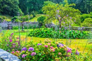 Graythwaite Hall Garden