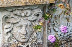 Flower drape a neoclassical carving