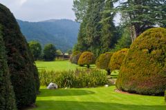 Looking away from the house