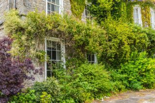 Halecat House & Gardens