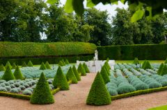 Formal garden topiary beside the house