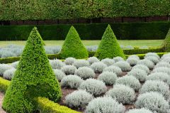 Formal garden beds