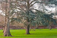 Hampton Court Palace, The Tiltyard