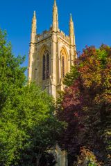 Hampton Lucy, St Peter ad Vincula Church, The tower top through the trees