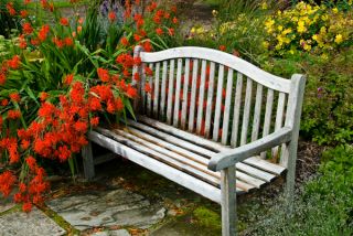 Harmony Garden