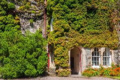 The rear entrance to the Abbey