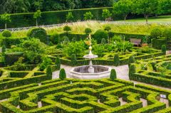 The Old Palace garden